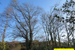 073.2018-02-16-Alder-Hills-Nature-Reserve-A-second-visit.-73