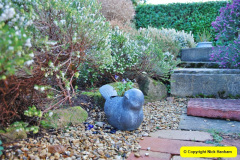 046.2018-01-03-A-Poole-Winter-Garden.-46