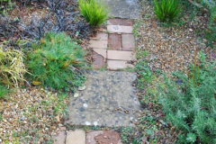 070.2018-01-03-A-Poole-Winter-Garden.-70