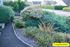 096.2018-01-03-A-Poole-Winter-Garden.-96