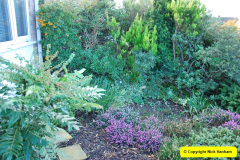 097.2018-01-03-A-Poole-Winter-Garden.-97