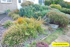 104.2018-01-03-A-Poole-Winter-Garden.-104