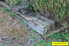 110.2018-01-03-A-Poole-Winter-Garden.-110