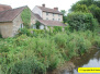 2018 July 17 Bruton, Somerset