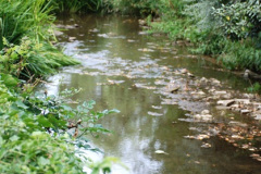 004.2018-07-17-Bruton-Somerset-4-