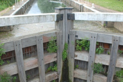 048.2018-06-26-Ware-to-Heartford-East-River-Lea-Hertfordshire-walk.-69