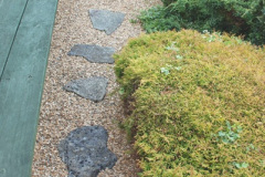 002.2018-06-28-Back-garden-make-over-at-your-Hosts-2