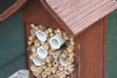 007.2018-06-28-Back-garden-make-over-at-your-Hosts-7