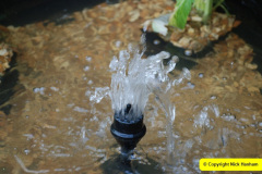 018.2018-06-28-Back-garden-make-over-at-your-Hosts-18