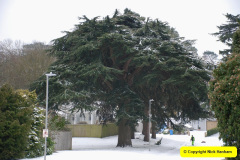 044.2018-03-01-Snow-in-Parkstone-Poole-Dorset.-44