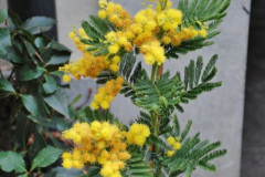 212.2018-03-09-to-10-Tilbury-Antwerp.-212