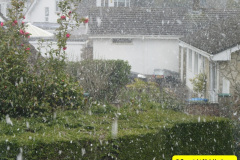 005.2018-03-17-18-More-snow.-5