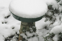032.2018-03-17-18-More-snow.-32