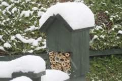 035.2018-03-17-18-More-snow.-35