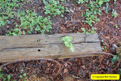 182.2018-03-30-At-The-Vyne-National-Trust-property-near-Basingstoke-Hampshire.-2