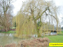 2018 March 30 The Vyne (NT) Basingstoke, Hampshire