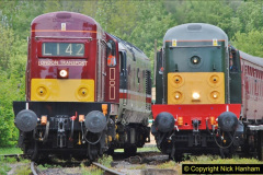 131.2018-05-11-SR-Beer-Festival-Diesel-Gala-2018.-131-