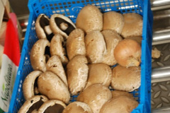 156.2018-05-24Celebrity-Bravo-Music-Cruise.-Ship-Inside-Access-Tour.-156