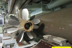 179.2018-05-24-to-26-Celebrity-Bravo-Music-Cruise.-Cherbourg-Southampton-Poole.-179-