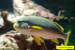 207.2018-05-24-to-26-Celebrity-Bravo-Music-Cruise.-Cherbourg-Southampton-Poole.-207-