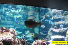 215.2018-05-24-to-26-Celebrity-Bravo-Music-Cruise.-Cherbourg-Southampton-Poole.-215-