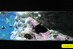 217.2018-05-24-to-26-Celebrity-Bravo-Music-Cruise.-Cherbourg-Southampton-Poole.-217-