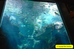 218.2018-05-24-to-26-Celebrity-Bravo-Music-Cruise.-Cherbourg-Southampton-Poole.-218-