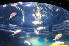 237.2018-05-24-to-26-Celebrity-Bravo-Music-Cruise.-Cherbourg-Southampton-Poole.-237-