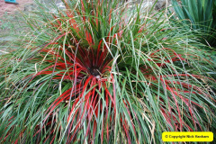 224.2018-10-09-Welsh-Highlands-Railway.-224