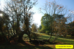 006.2018-10-21-Dyrham-Park-NT-Autumn-Colour.-Near-Bath-Somerset.-6