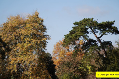 028.2018-10-21-Dyrham-Park-NT-Autumn-Colour.-Near-Bath-Somerset.-28