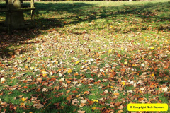 060.2018-10-21-Dyrham-Park-NT-Autumn-Colour.-Near-Bath-Somerset.-60