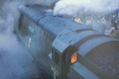 007.2018-09-07-Refurbished-Goods-Shed-@-Wareham-Dorset.-7