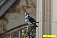 237.2018-04-16-to-20-York-Yorkshire.-237