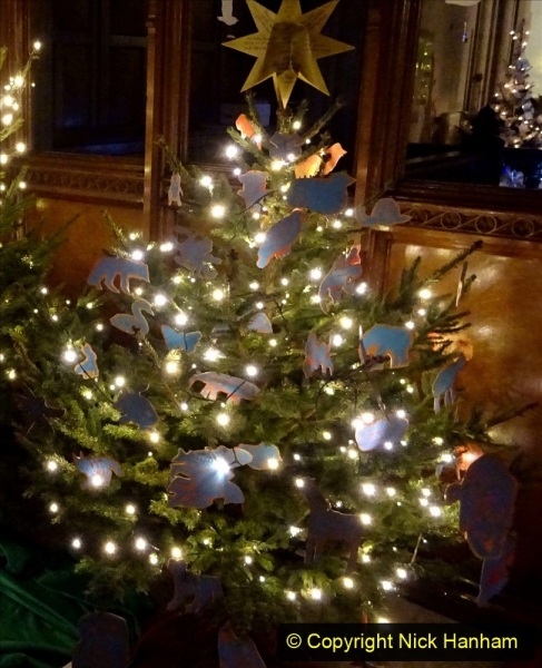 2019-12-21-St.-Aldhelms-Church-Christmas-Trees.-29-029
