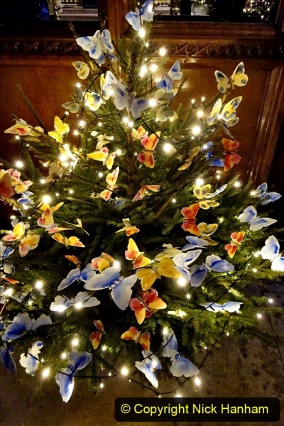 2019-12-21-St.-Aldhelms-Church-Christmas-Trees.-41-041