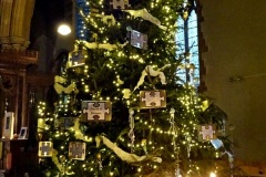 2019-12-21-St.-Aldhelms-Church-Christmas-Trees.-27-027