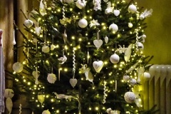 2019-12-21-St.-Aldhelms-Church-Christmas-Trees.-32-032