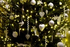2019-12-21-St.-Aldhelms-Church-Christmas-Trees.-33-033