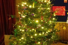2019-12-21-St.-Aldhelms-Church-Christmas-Trees.-53-053