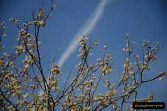 132.2019-04-14-to-15-Dorchester-on-Thames-Oxfordshire.-132-