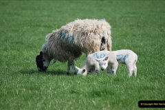 135.2019-04-14-to-15-Dorchester-on-Thames-Oxfordshire.-135-