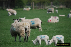 137.2019-04-14-to-15-Dorchester-on-Thames-Oxfordshire.-137-
