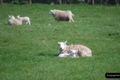 141.2019-04-14-to-15-Dorchester-on-Thames-Oxfordshire.-141-