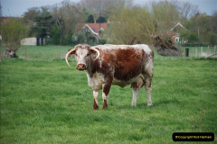 151.2019-04-14-to-15-Dorchester-on-Thames-Oxfordshire.-151-