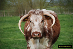 152.2019-04-14-to-15-Dorchester-on-Thames-Oxfordshire.-152-