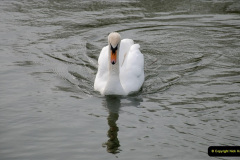 162.2019-04-14-to-15-Dorchester-on-Thames-Oxfordshire.-162-