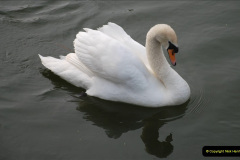 163.2019-04-14-to-15-Dorchester-on-Thames-Oxfordshire.-163-
