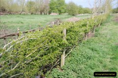 172.2019-04-14-to-15-Dorchester-on-Thames-Oxfordshire.-172-