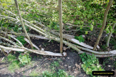 175.2019-04-14-to-15-Dorchester-on-Thames-Oxfordshire.-175-